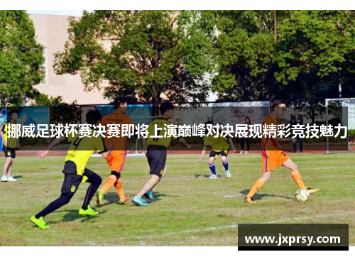 挪威足球杯赛决赛即将上演巅峰对决展现精彩竞技魅力